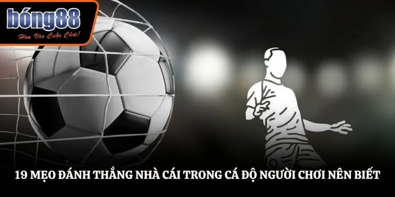 19 Mẹo Đánh Thắng Nhà Cái Trong Cá Độ Người Chơi Nên Biết