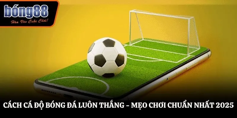 Cách Cá Độ Bóng Đá Luôn Thắng - Áp Dụng Mọi Giải Đá Cực Dễ