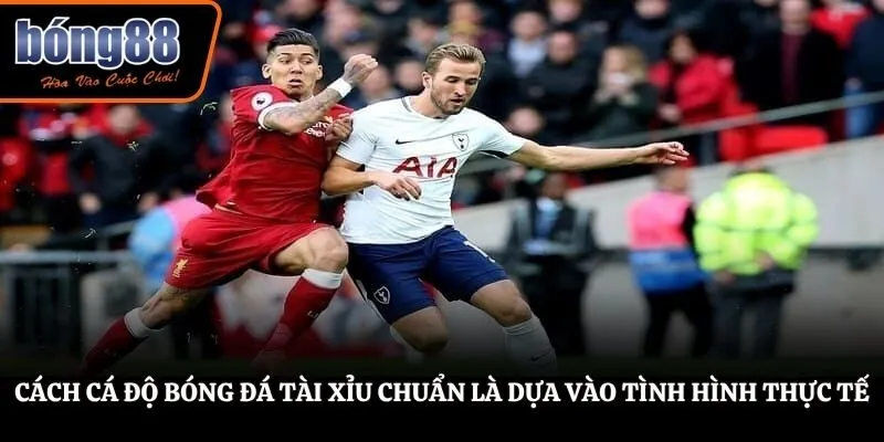 Cách cá độ bóng đá tài xỉu chuẩn là dựa vào tình hình thực tế