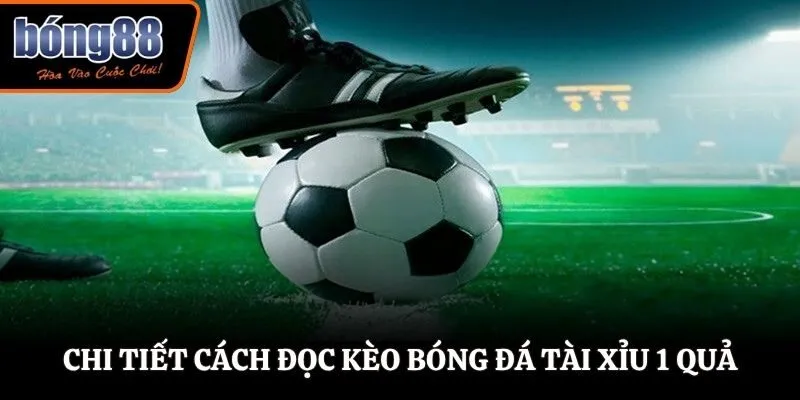Chi tiết cách đọc kèo bóng đá tài xỉu 1 quả