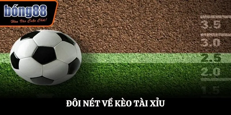 Đôi nét về kèo tài xỉu