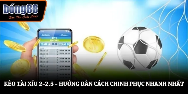 Kèo Tài Xỉu 2-2.5 - Giới Thiệu Cách Chơi Cho Hội Viên BONG88