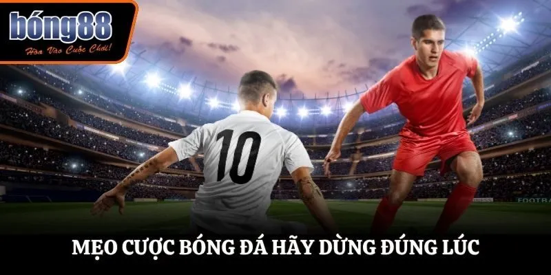 Mẹo cược bóng đá hãy dừng đúng lúc