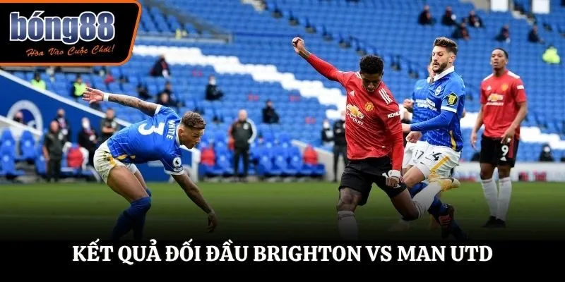 Soi kèo Brighton vs Man Utd - phân tích kết quả những trận đụng độ gần đây