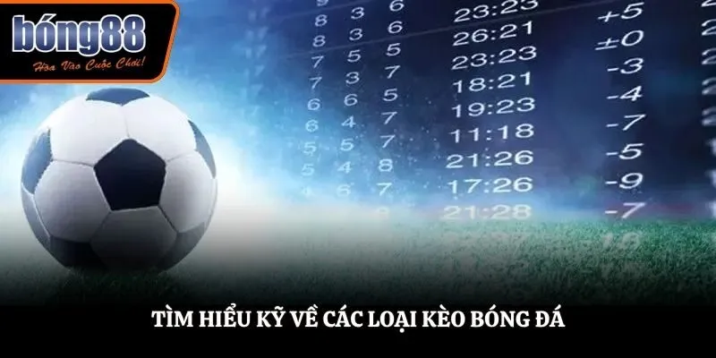 Tìm hiểu kỹ về các loại kèo bóng đá