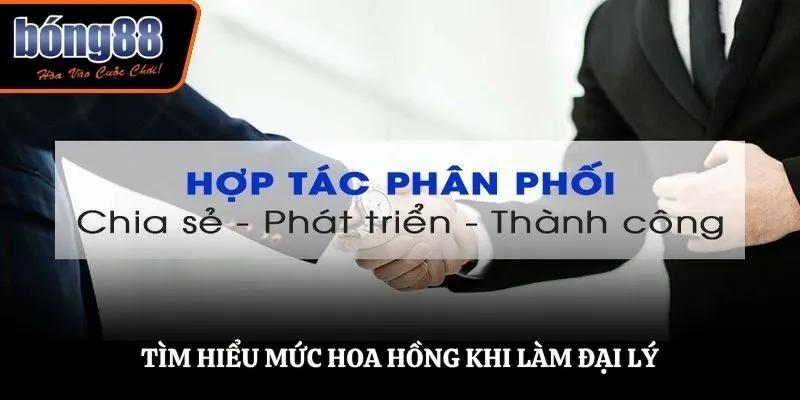 Tìm hiểu mức hoa hồng khi làm đại lý