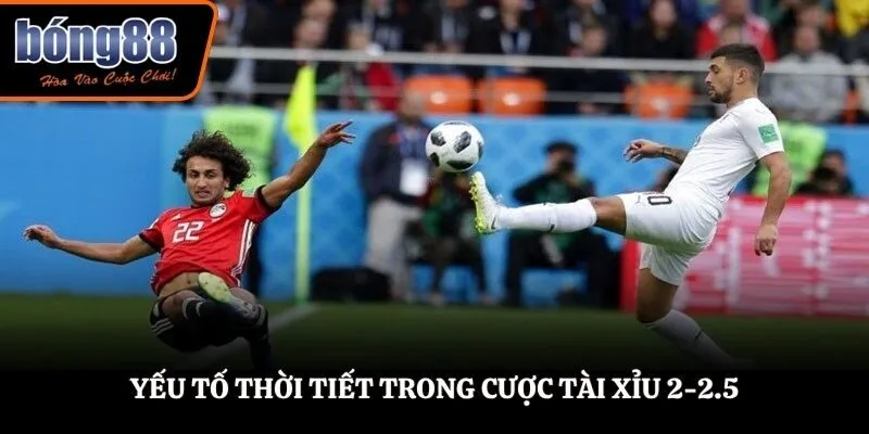Yếu tố thời tiết trong cược tài xỉu 2-2.5